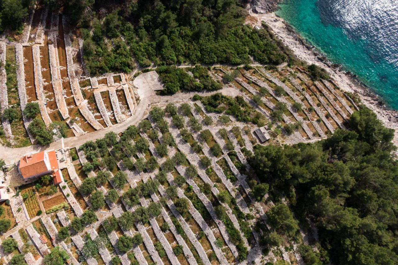 Seaside House For Families With Children Cove Zanavje, Korcula - 19224 Villa Blato  Exterior photo